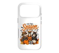 Custodia per iPhone 17 Pro Tis The Season Halloween Donkey Pumpkin Costume
