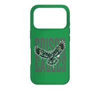 Custodia per iPhone 17 Pro Trinity Love Clothing Co. Tulsa Edison Eagles War Cry grigio