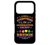 Custodia per iPhone 17 Pro Tutto con moderazione tranne il ponte divertente Rainbow Bridge