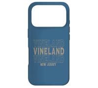 Custodia per iPhone 17 Pro Vineland vintage New Jersey