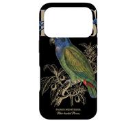 Custodia per iPhone 17 Pro Vintage pionus dalla testa blu birdwatching natura uccelli amore