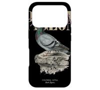 Custodia per iPhone 17 Pro Vintage Rock Piccione Uccello Arte Natura Osservazione