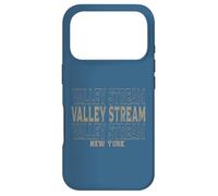 Custodia per iPhone 17 Pro Vintage Valley Stream New York