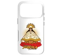 Custodia per iPhone 17 Pro Virgen de Juquila - Santa Catarina Juquila, Oaxaca México