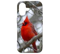 Custodia per iPhone 17 Regalo ispiratore Heaven Sends Birds A Sign Cardinal