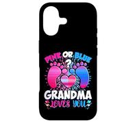 Custodia per iPhone 17 Sesso Rivela Nonna Team Rosa O Blu Cosa ne Pensi