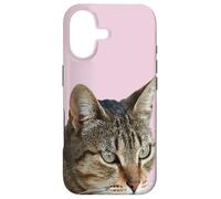 Custodia per iPhone 17 Splendida Tabby Cat Close Up Foto Ritratto Isolato