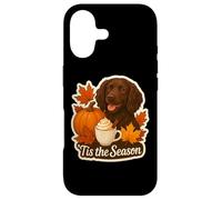Custodia per iPhone 17 Tis The Season Boykin Spaniel Dog Autunno Autunno Zucca Spice