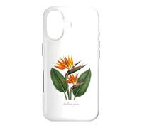 Custodia per iPhone 17 Uccello del paradiso illustrazione di piante Strelitzia reginae