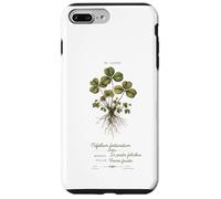 Custodia per iPhone 7 Plus/8 Plus Artistic St Patricks Day Quadrifoglio Botanico Vintage