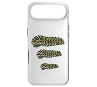 Custodia per iPhone Air Black Swallowtail Caterpillar Studio Papilio Polyxenes Larva