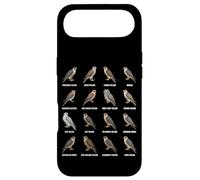 Custodia per iPhone Air Grafico delle specie di falco Tipi di ornitologia dei falchi