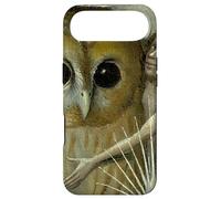 Custodia per iPhone Air Il giardino delle delizie terrestri