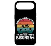 Custodia per iPhone Air Isola di Catalina Vacanze in California Palm Catalina Island