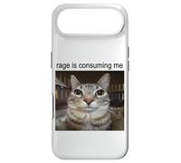 Custodia per iPhone Air La rabbia mi sta consumando sciocco che fissa il meme del gatto