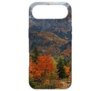 Custodia per iPhone Air Paesaggio panoramico delle cime delle montagne della valle d'autunno al