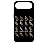 Custodia per iPhone Air Raptors of North America Grafico delle specie di uccelli rapaci
