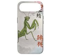 Custodia per iPhone Air Sette Stelle Pregando Mantide Shaolin Kung Fu