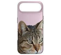 Custodia per iPhone Air Splendida Tabby Cat Close Up Foto Ritratto Isolato