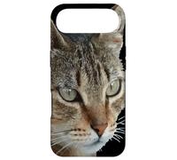 Custodia per iPhone Air Splendido gatto soriano primo piano ritratto vettoriale isolato