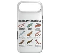 Custodia per iPhone Air Tabella delle specie di vermi marini di invertebrati marini diverse