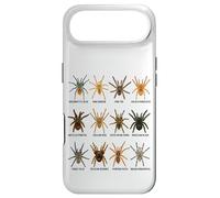 Custodia per iPhone Air Tipi di Tarantole Specie Ragno Amanti Aracnidi