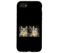 Custodia per iPhone SE (2020) / 7/8 Meme di Silly Staring Cat, divertente disegno felino