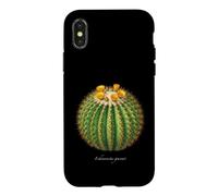 Custodia per iPhone X/XS Barrel Cactus illustrazione Echinocactus grusonii