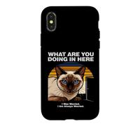 Custodia per iPhone X/XS Cosa stai facendo qui Gatto Siamese Ansioso