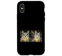 Custodia per iPhone X/XS Meme di Silly Staring Cat, divertente disegno felino