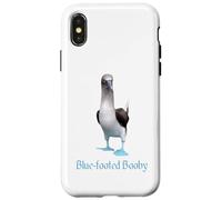 Custodia per iPhone X/XS Ornitologia della razza di uccelli Booby dai piedi blu