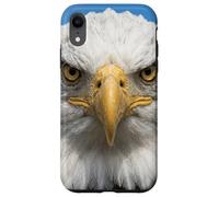 Custodia per iPhone XR Bald Eagle Close Up Ritratto Sharp Wildlife Face