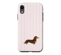 Custodia per iPhone XR Bassotto a pelo lungo marrone e crema a righe rosa