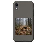 Custodia per iPhone XR Beagle Tracking Forest Trail Nebbia Scena del bosco