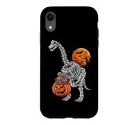 Custodia per iPhone XR Brachiosaurus Apatosaurus Dinosauro Scheletro Zucca Dino Boy