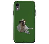 Custodia per iPhone XR Cane Kangal che sbadiglia vettoriale tagliato