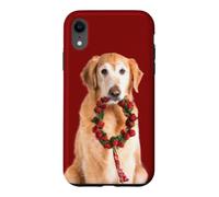 Custodia per iPhone XR Corona d'Avvento natalizia per cani Golden Retriever