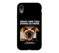 Custodia per iPhone XR Cosa stai facendo qui Gatto Siamese Ansioso