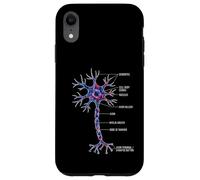 Custodia per iPhone XR Diagramma delle cellule cerebrali etichettate con anatomia neuronale neurobiologica
