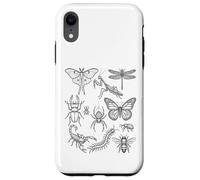 Custodia per iPhone XR Entomologia Specie di insetti Storia naturale scientifica minima