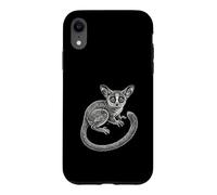 Custodia per iPhone XR Galago Bush Baby Primate