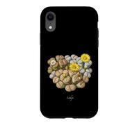 Custodia per iPhone XR Illustrazione di piante di pietre viventi Lithops