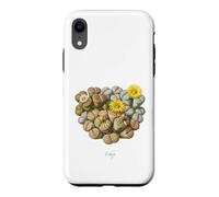 Custodia per iPhone XR Illustrazione di piante di pietre viventi Lithops