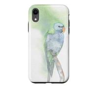 Custodia per iPhone XR Illustrazione elegante dell'uccello del parrocchetto baffuto dell'acquerello