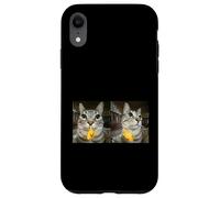 Custodia per iPhone XR Meme di Silly Staring Cat, divertente disegno felino