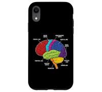 Custodia per iPhone XR Neuroscienze di anatomia del cervello umano Labeled Lobi Corteccia