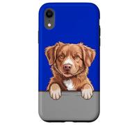 Custodia per iPhone XR Nova Scotia Duck Tolling Retriever, divertente cane toller che fa capolino