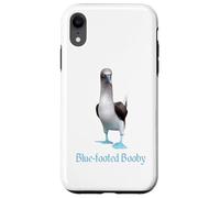 Custodia per iPhone XR Ornitologia della razza di uccelli Booby dai piedi blu