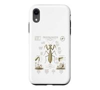Custodia per iPhone XR Pregare Mantide Anatomia Vintage Field Guide Art