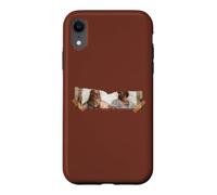 Custodia per iPhone XR Scuola di Atene - Platone e Aristotele - Regalo filosofo